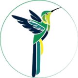 kingistore.com